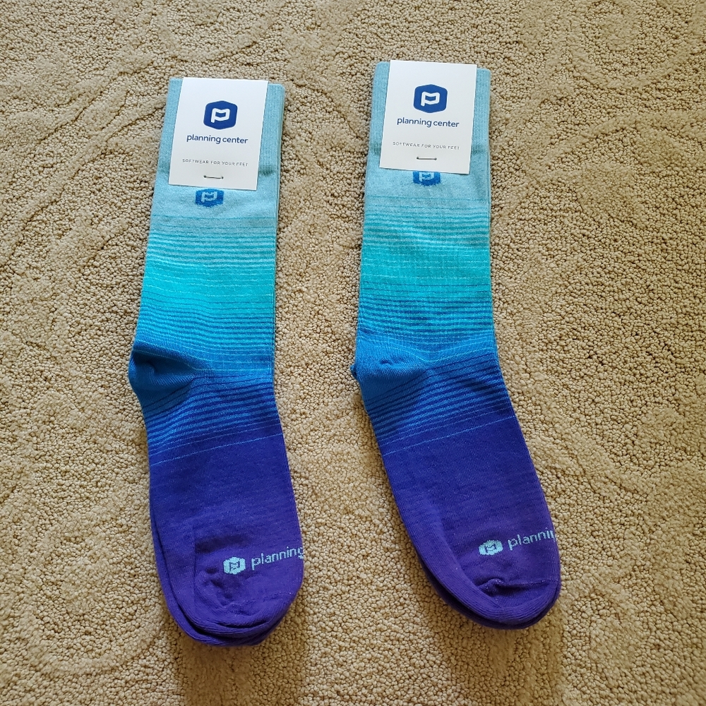 NWT Sock Club Socks Lot Of 2 Hues Of Blue